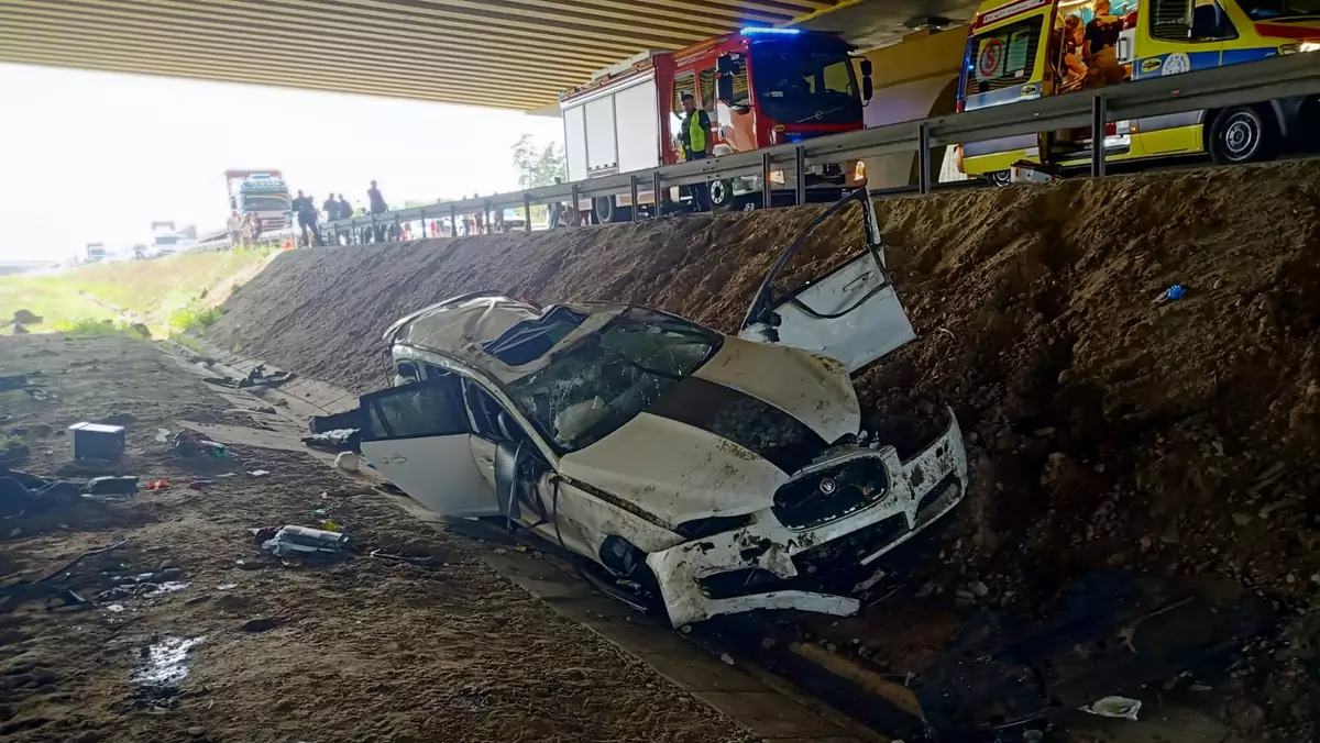 Jaguar wylądował w przydrożnym rowie