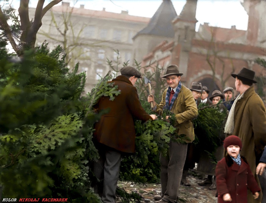 Sprzedaż choinek w międzywojennej Polsce. Kraków 1934. Fot Narodowe Archiwum Cyfrowe