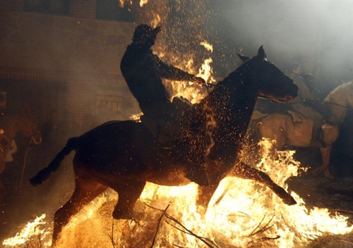 SPAIN - SAINT - ANTHONY - FESTIVAL