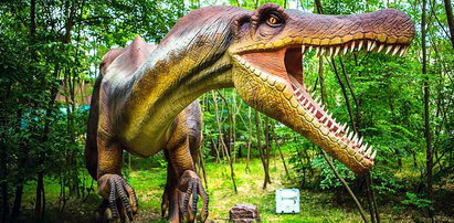Największy park ruchomych dinozaurów zaprasza na weekend