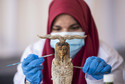 Nowe odkrycie archeologów w Egipcie