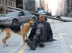 "Jestem legendą" trafia do polskich kin