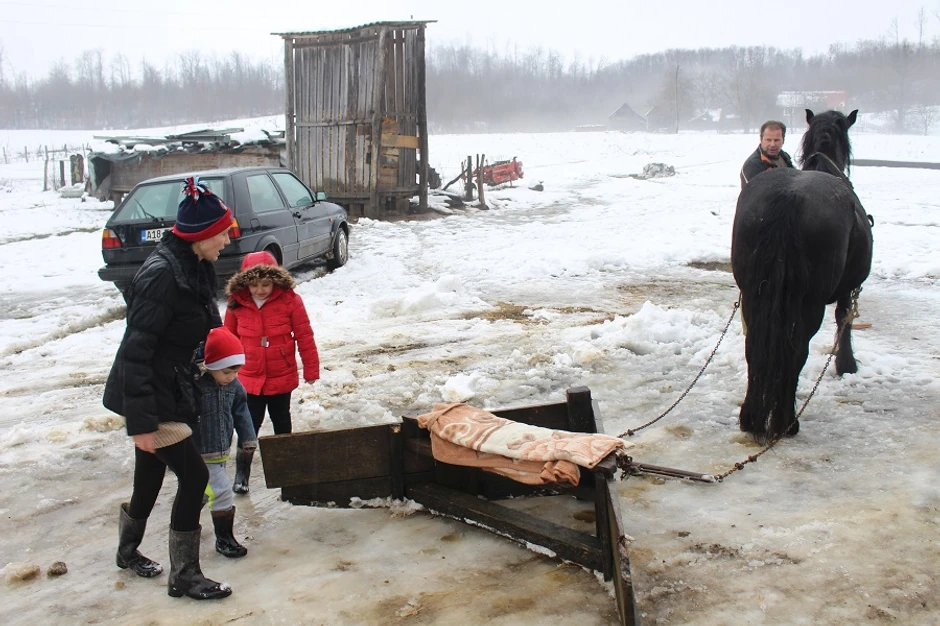 Grtalica u Potkozarju
