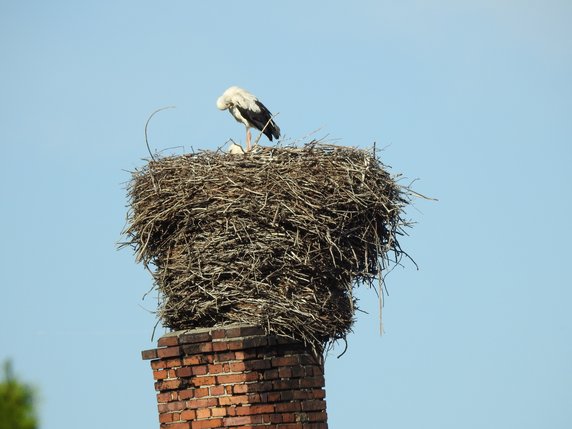 Piotrowice, Dolny Śląsk