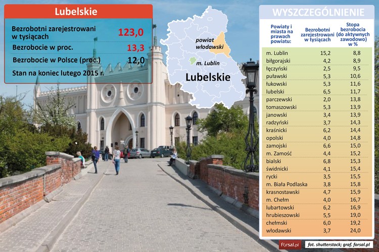 Województwo lubelskie idzie łeb w łeb z lubuskim, jeśli chodzi o poziom bezrobocia. Tutaj także stopa bezrobocia wynosiła w lutym 13,3 proc. Najlepsza sytuacja panuje w Lublinie (8,8 proc.). W mieście tym działa 14 uczelni wyższych, w tym UMCS, Politechnika Lubelska, Uniwersytet Przyrodniczy i Uniwersytet Medyczny, dlatego mocno rozwija się tu sektor technologiczny i badawczo-rozwojowy. Działa tu m.in. Lubelski Park Naukowo-Technologiczny oraz Podstrefa Ekonomiczna w Lublinie SEE Euro-Park Mielec. Zainwestowały tu m.in. takie firmy, jak producent systemów profili aluminiowych dla budownictwa Aliplast, Biomaxima – producent testów diagnostycznych i odczynników dla służby zdrowia czy PZ Corma – producent testów diagnostycznych i analizatorów krwi nowej generacji. <br>Stosunkowo niskie bezrobocie panuje też w powiecie biłgorajskim (8.9 proc.). Tutaj swoje siedziby mają m.in. Black Red White (jedna z największych w Europie fabryk mebli), Ambra (największy producent win w Europie Środkowej) i Pol-Skone (producent okien i drzwi). W powiecie łęczyńskim (9,5 proc. bezrobocia) działa zatrudniająca ponad 5 tys. osób kopalnia węgla kamiennego LW Bogdanka. <br>Najwyższa stopa bezrobocia w regionie notowana jest w powiecie włodawskim (24 proc.).