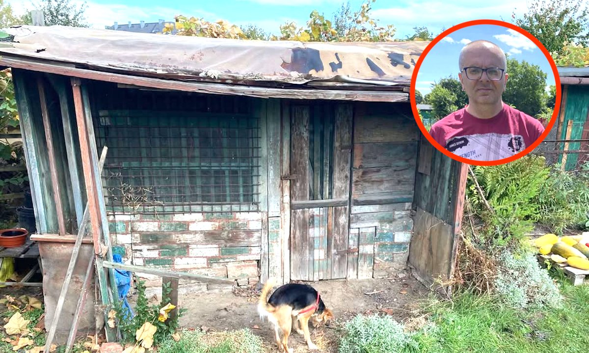 Kupili działkę ROD. "Nie wzięliśmy pod uwagę istotnego elementu"