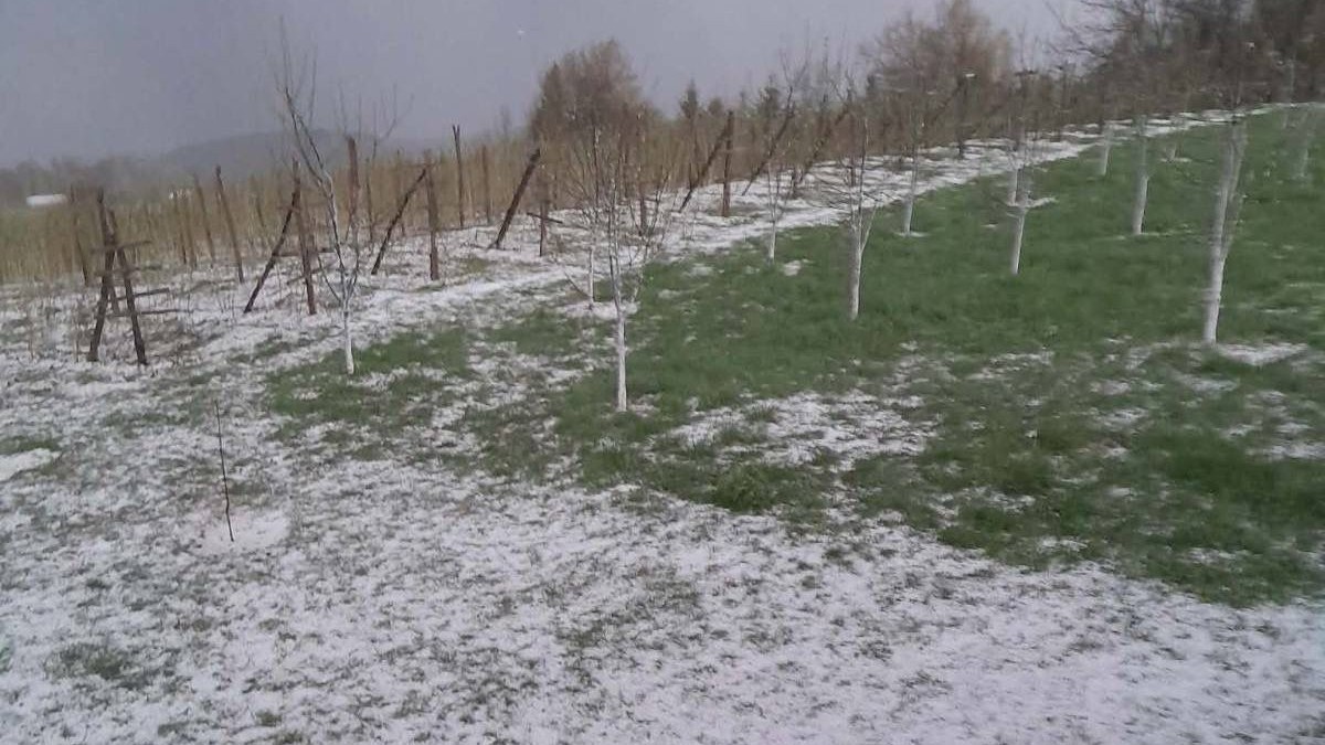 Grad veličine oraha u Prijepolju