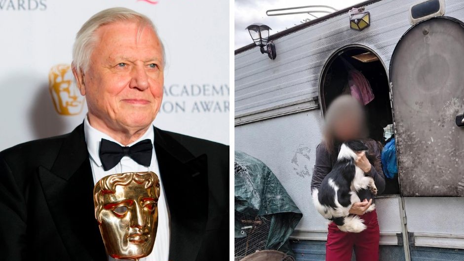 David Attenborough oslávil 100 rokov. Nepoučiteľnej chovateľke zhabali psy z úbohých podmienok