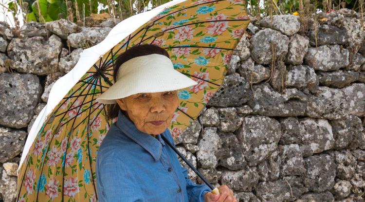 Idős japán nő- a kép illusztráció