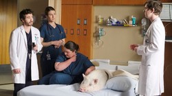 Nowy sezon serialu "The Good Doctor" tylko na Viaplay