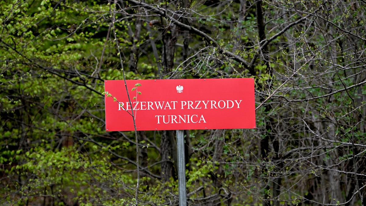 Rezerwat przyrody Turnica w Arłamowie na Pogórzu Przemyskim