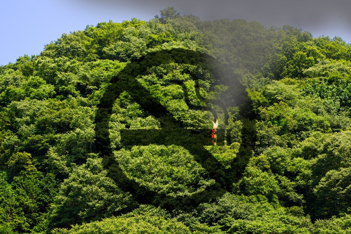 60 tys. zł pójdzie z dymkiem? Polski turysta słono zapłaci za wykroczenie