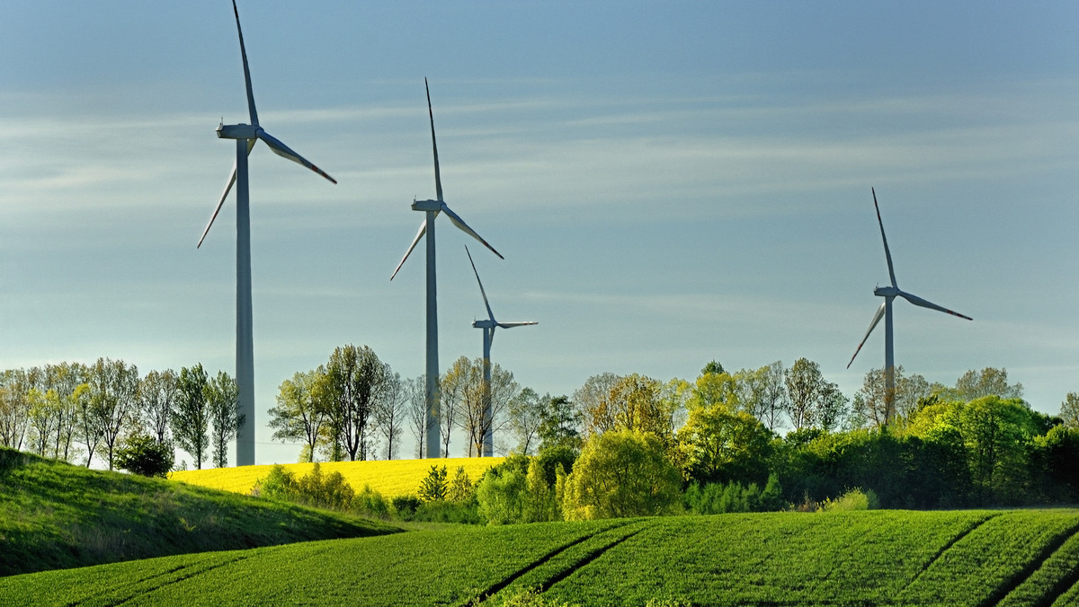 Energetyka wiatrowa w Polsce osiągnęła sukces: wzrosła jej efektywność, a spadły koszty, w tej chwili buduje się wiatraki o mocy 1500 MW - wskazali w środę uczestnicy 70. Forum "Energia - Efekt - Środowisko" w Narodowym Funduszu Ochrony Środowiska i Gospodarki Wodnej.