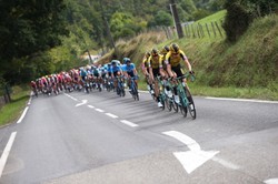 Dzięki transmisji telewizyjnej wyścigu kolarskiego Vuelta a Espana odkryto... plantację konopi indyjskich [WIDEO]