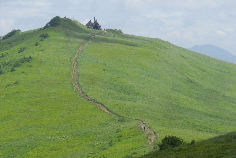 Bieg Rzeźnika 2011