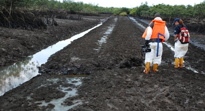 Ogoni clean-up: FG reiterates commitment for effective implementation. [economicconfidential]