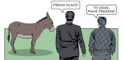 PiS wziął się za konie. Internet pęka ze śmiechu