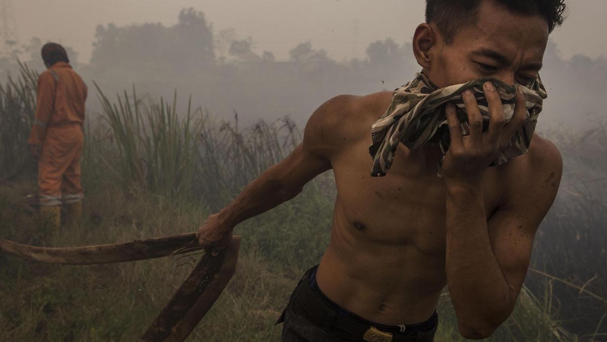 Firefighters Attempt To Extinguish Indonesia Forest Fires