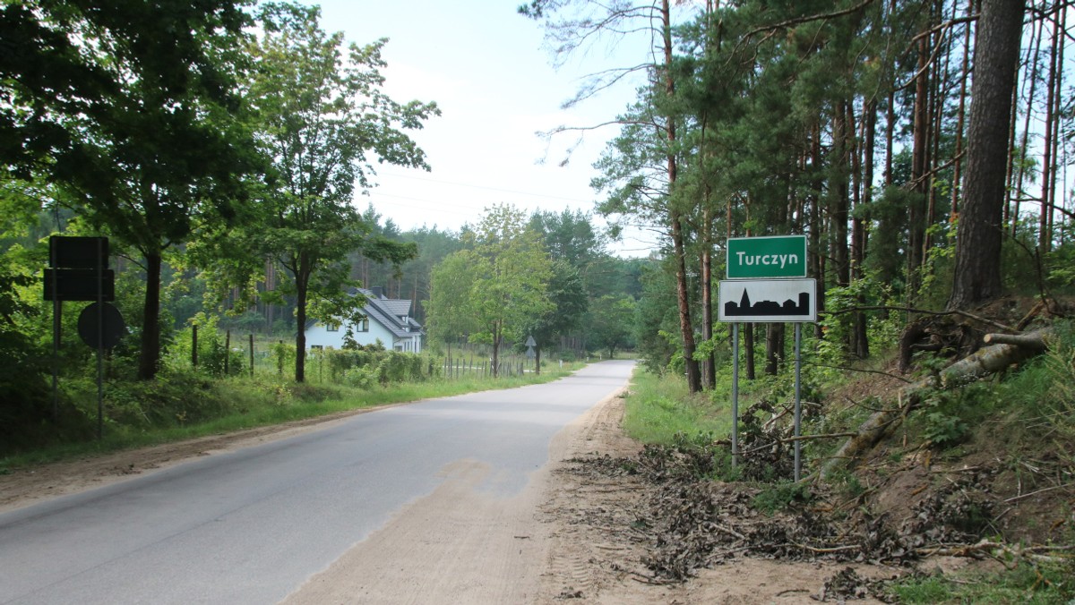 Podlaskie: Sprzeciw wobec wycinki Lasu Turczyńskiego