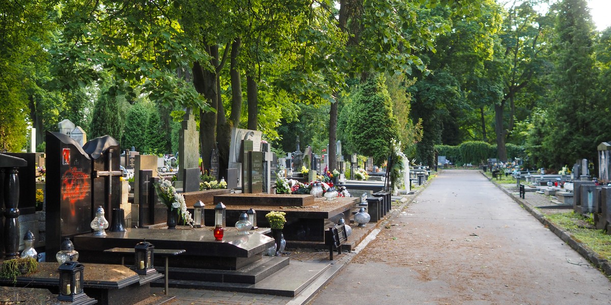 Szukając grobów najbliższych, możemy skorzystać z wyszukiwarek internetowych, aplikacji lub zlecić poszukiwanie wyspecjalizowanej firmie.