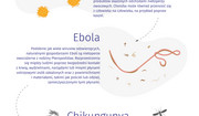 Nowa pandemia? Najgroźniejsze wirusy wg WHO [INFOGRAFIKA]