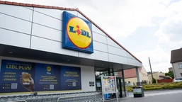 tylko dziś lidl rozdaje to za darmo. polacy uwielbiają takie promocje