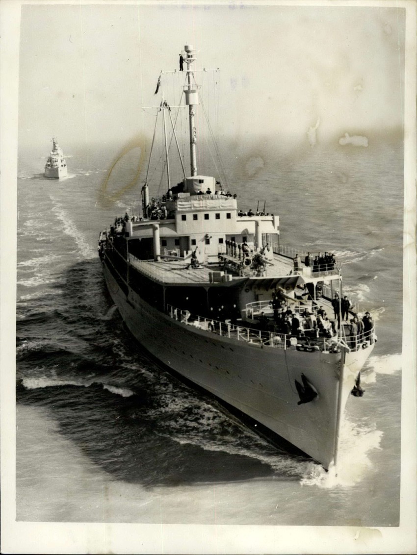 Galeb na otvorenom moru