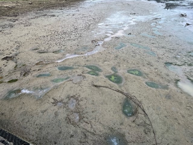 Niski stan wody w Jeziorze Solińskim