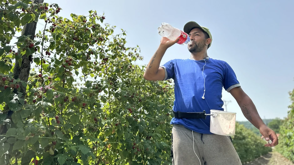 I naravno, puno vode