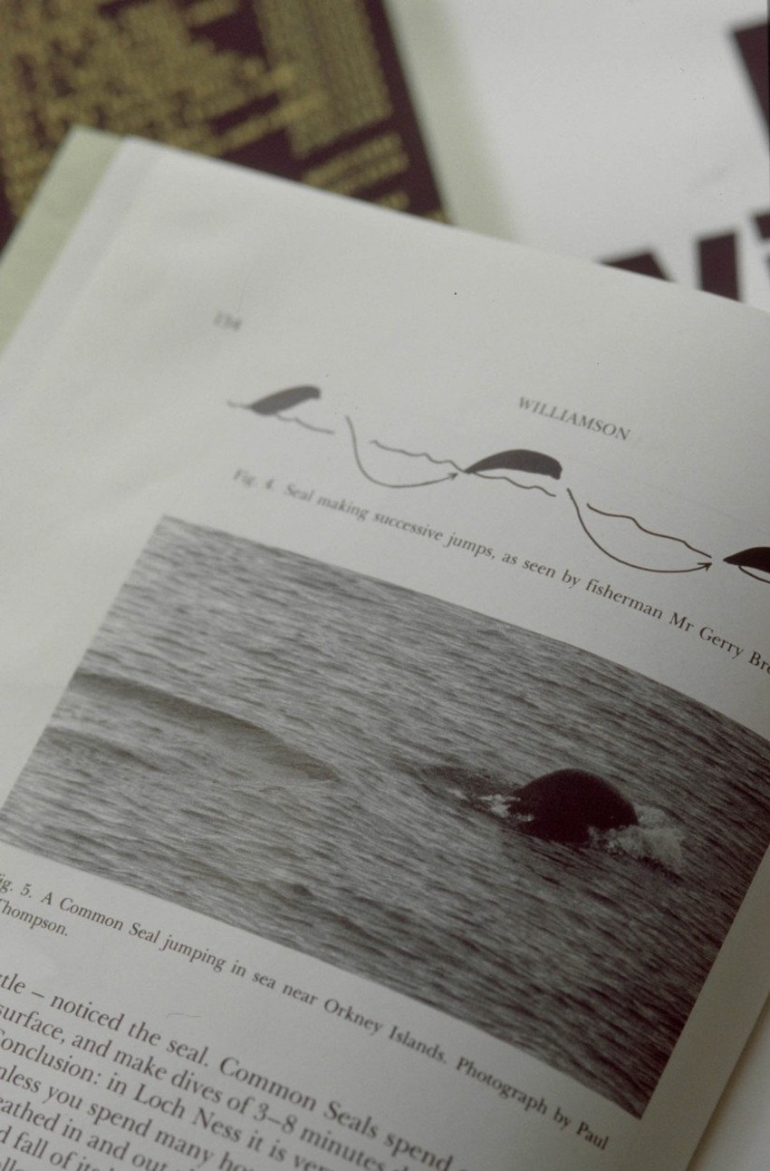 Vidra kao čudovište iz Loh Nesa