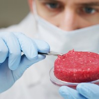 Betiltotta Olaszország a mesterséges húst