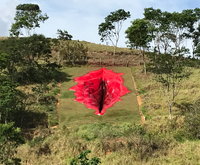 Művészet: 33 méteres pinát húztak fel Brazíliában