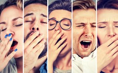 Ziewanie schładza mózg