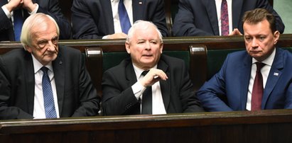 Znamy wyniki nowego sondażu. PiS ma kłopot