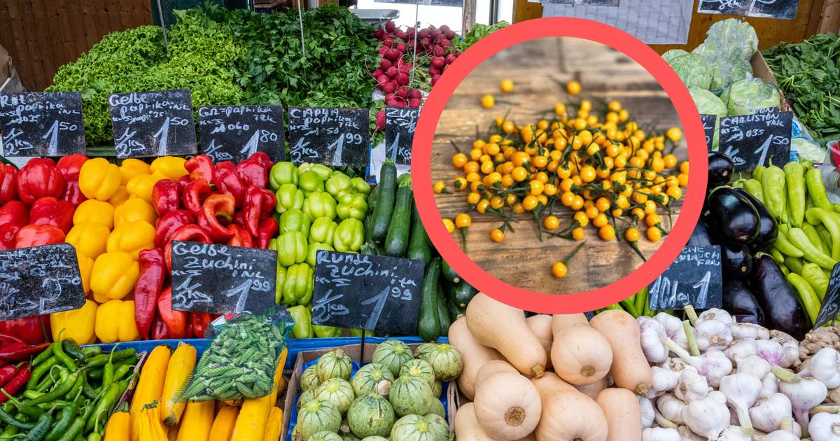 74 tys. zł za kilogram. Tyle kosztuje najdroższe warzywo na świecie