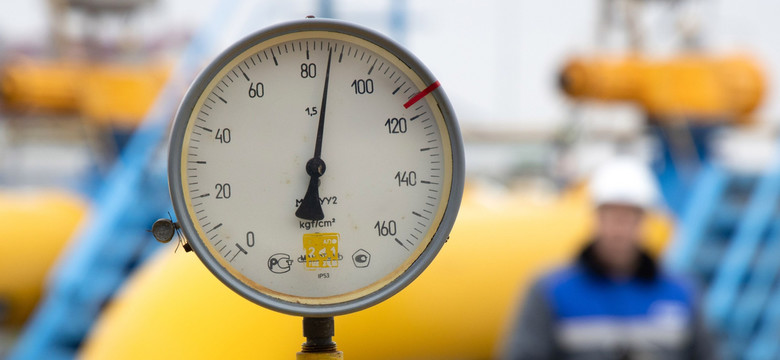 Niemcy podali, ile potrzebują czasu, by uniezależnić się od rosyjskiego gazu