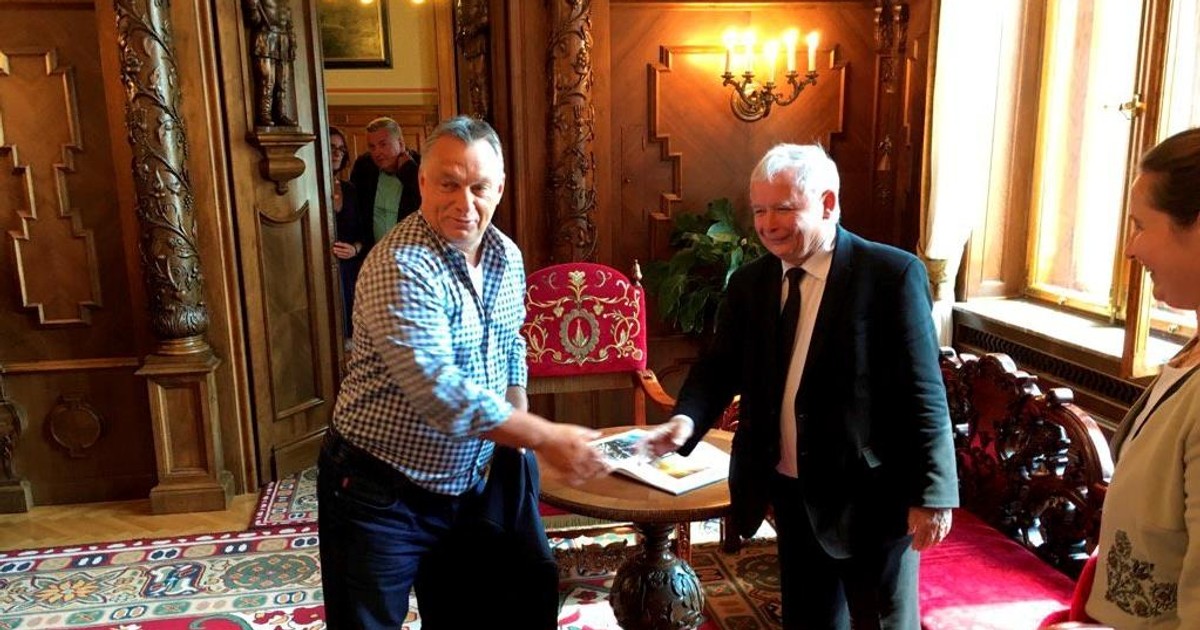 Podsłuchano Orbana. Miał pluć na Kaczyńskiego. "Szaleniec do psychiatryka"