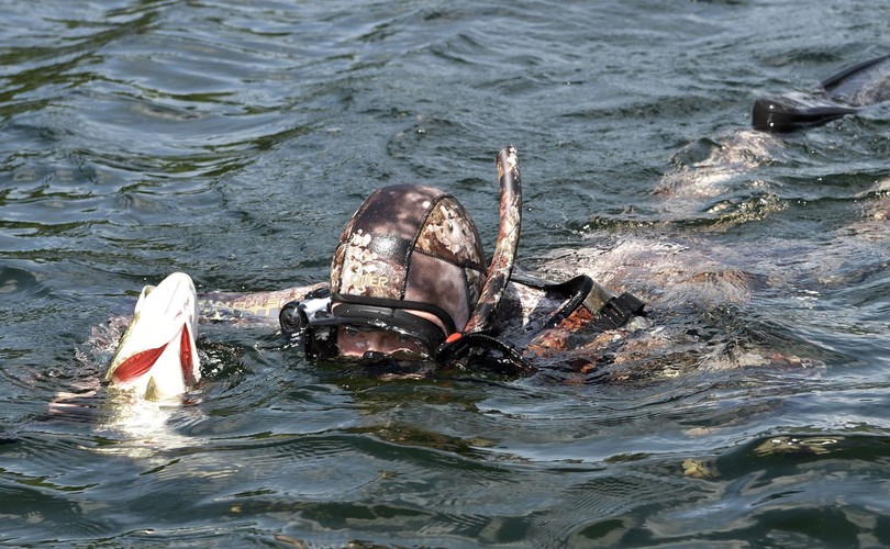 Władimir Putin nurkuje