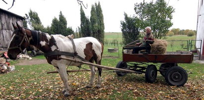 Mój koń ma GPS-a!