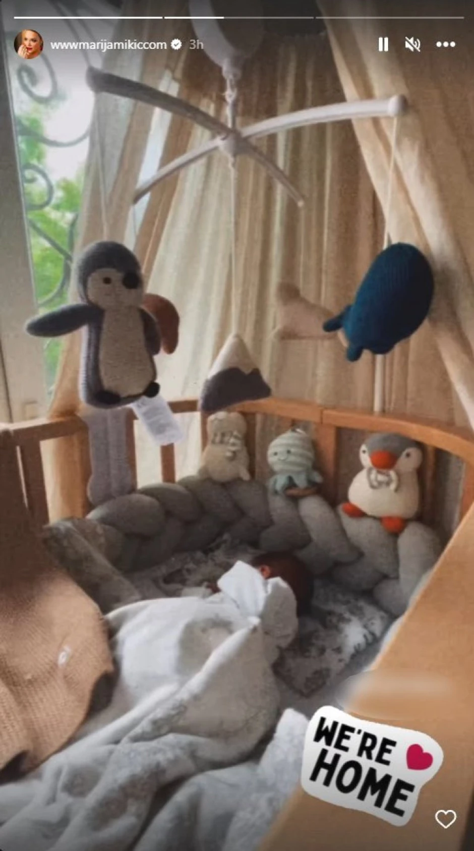 Marija Mikić dobila drugo dete