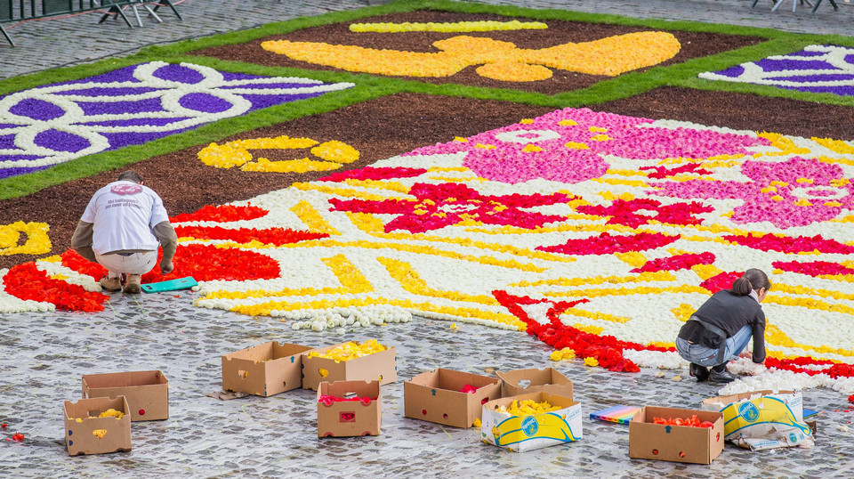 BELGIUM FLOWER CARPET (20th edition of the Flower Carpet in Brussels)