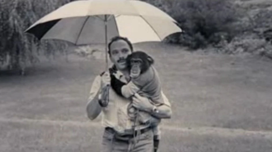 Kada je počeo da sazreva, Nim je postao je ljubomoran na supruga La Faržove