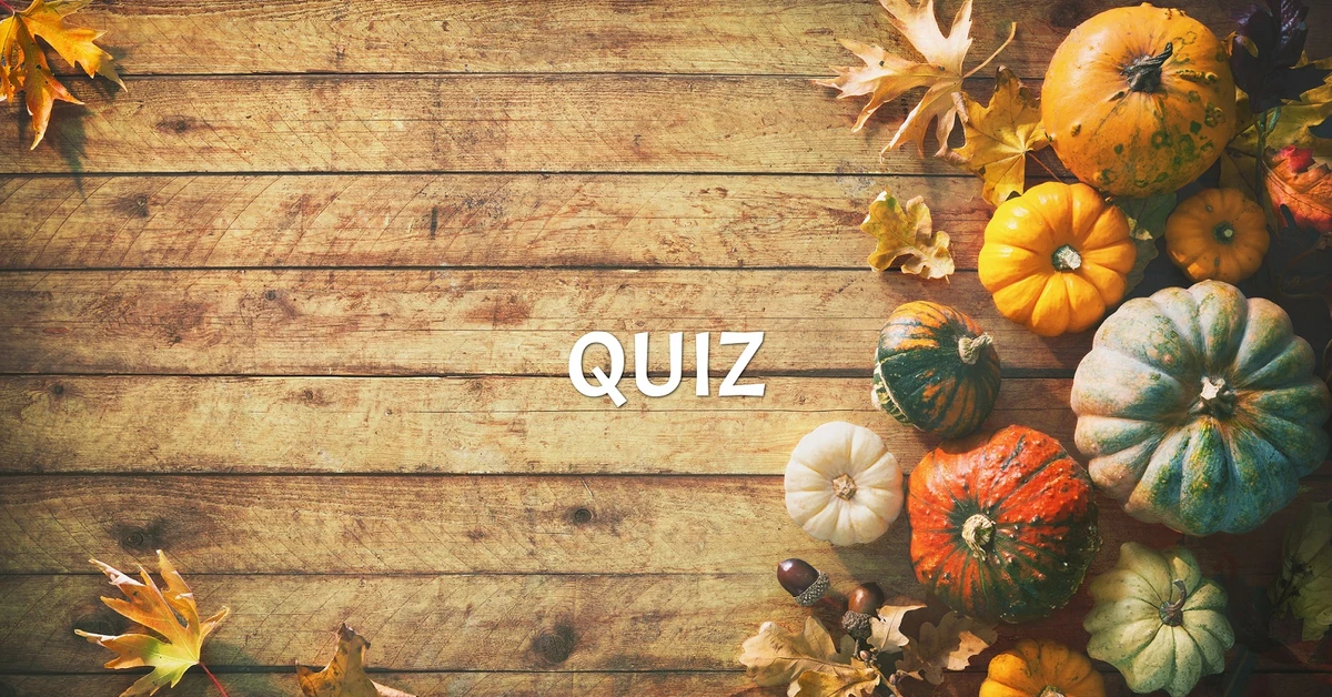 Dynia - królowa jesiennych stołów