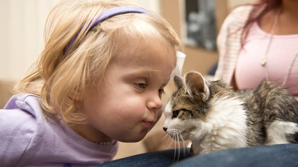 Ha megtudja, miért háromlábú cicát fogadott örökbe ez a kislány, biztosan  nem bírja ki könnyek nélkül - Blikk