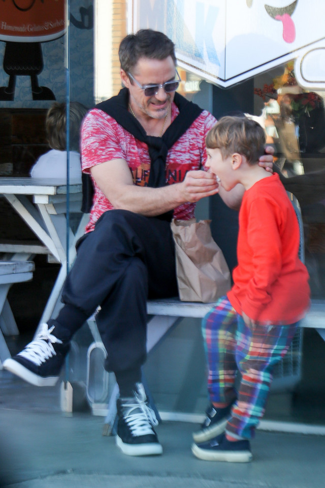 Robert Downey Jr. z synem