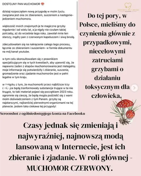 Influencerzy promują rekreacyjne spożywanie muchomora czerwonego / Instagram @doktorka_od_7_bolesci