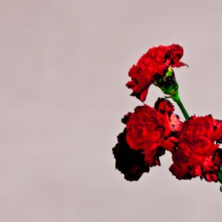 John Legend 'Love In The Future' - recenzja