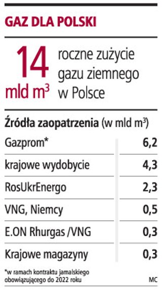 Trzeba się spieszyć z budową połączeń z gazową siecią UE