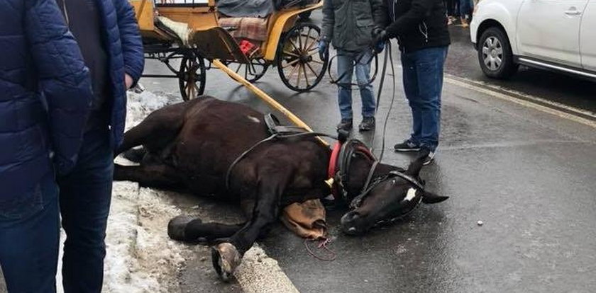 Spłoszony koń biegł przez Krupówki. Wpadł na dziecko