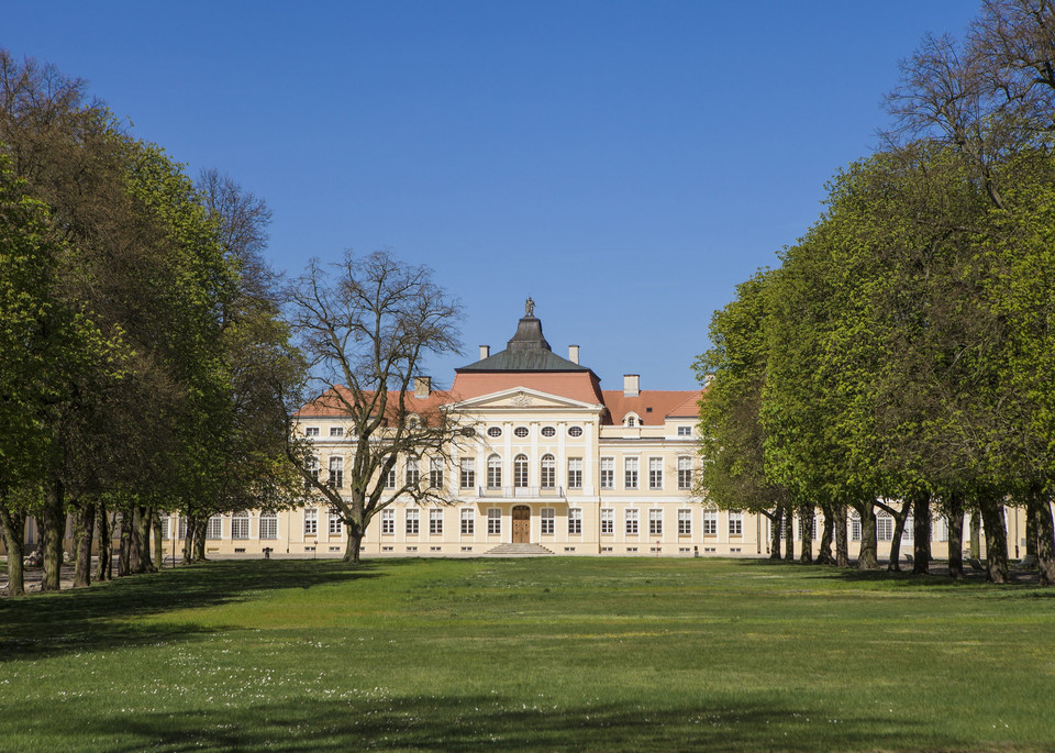 Rogalin - pałac i park po rewaloryzacji
